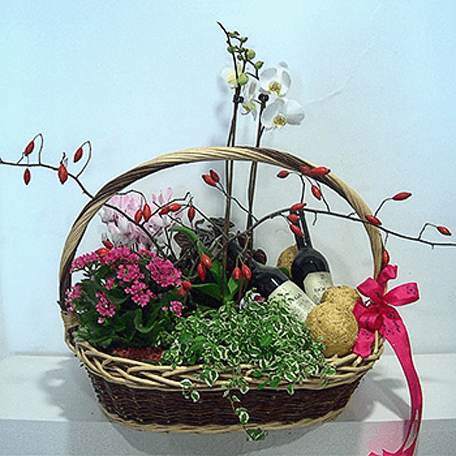 Produto: Cesta Plantas e Vinho